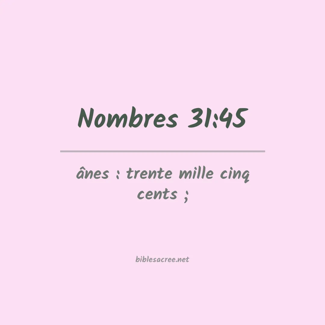 Nombres - 31:45