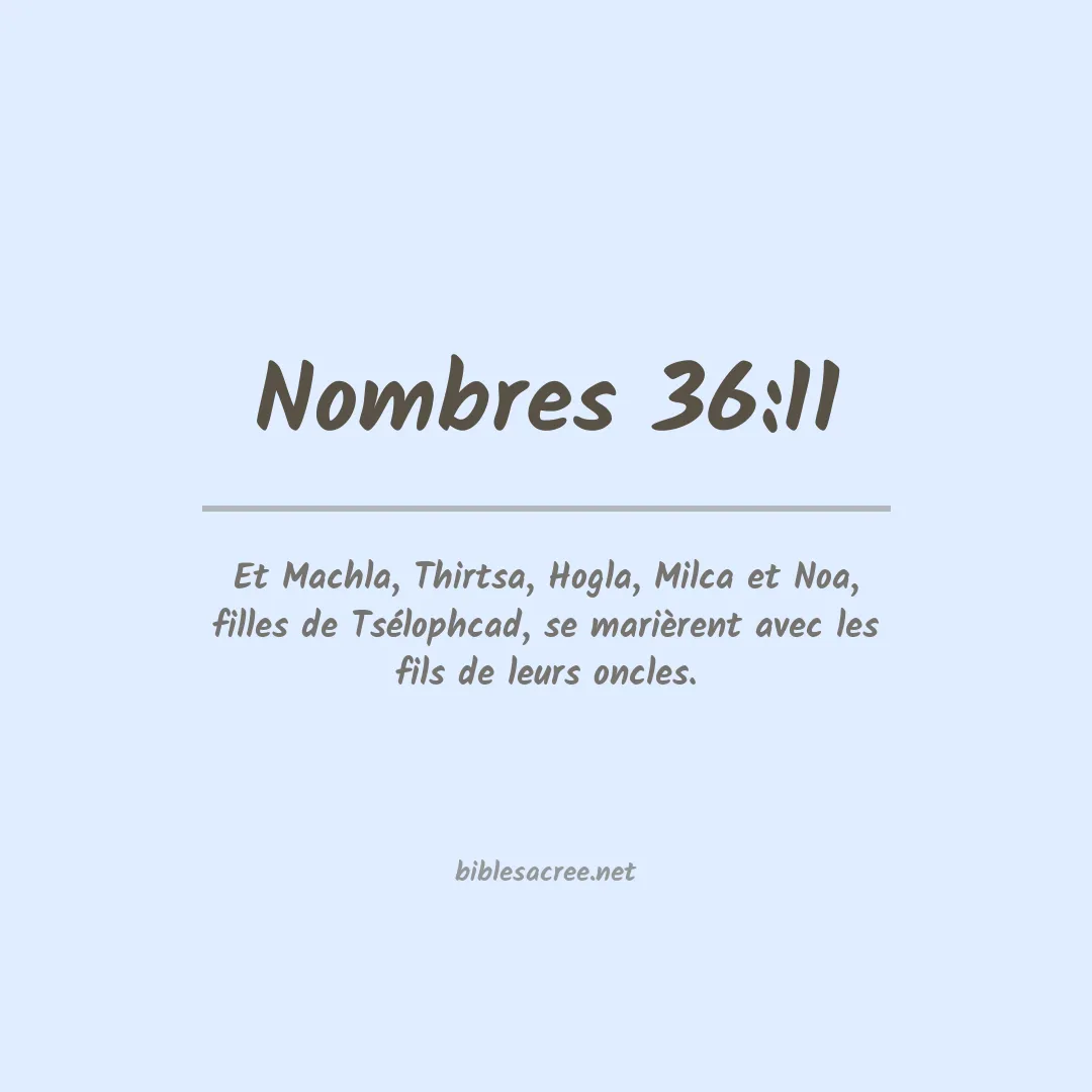 Nombres - 36:11