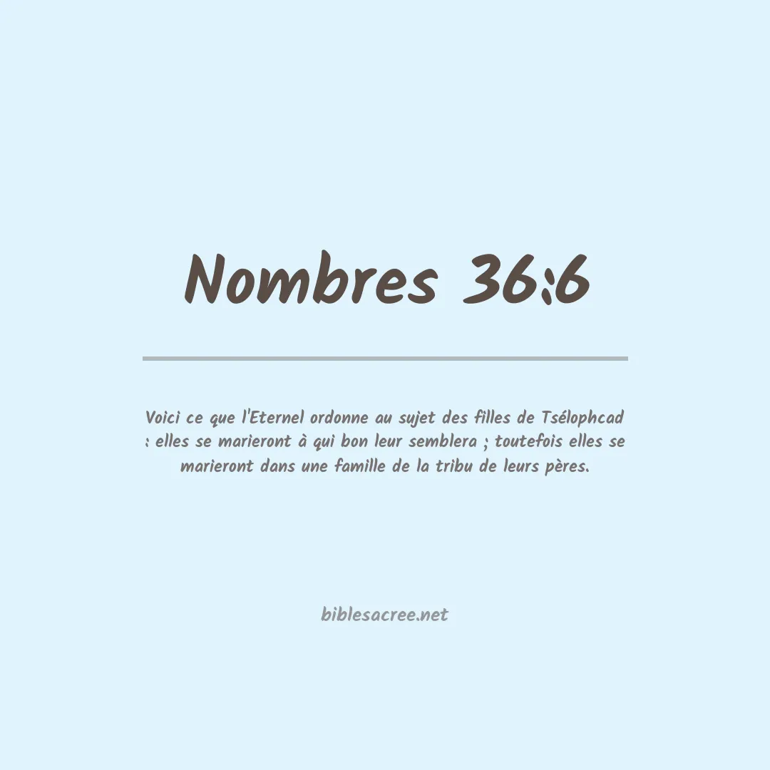 Nombres - 36:6