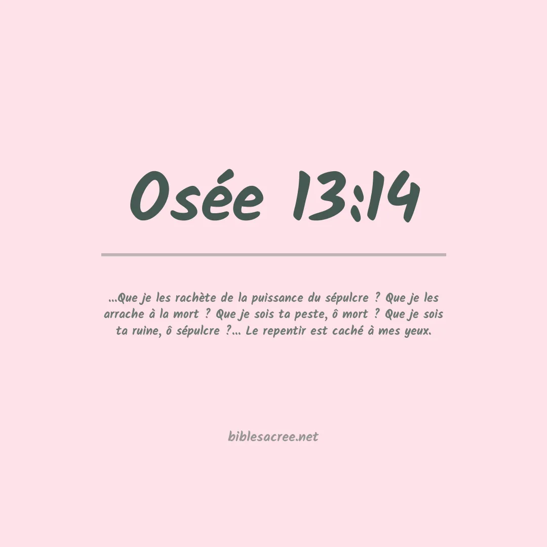 Osée - 13:14