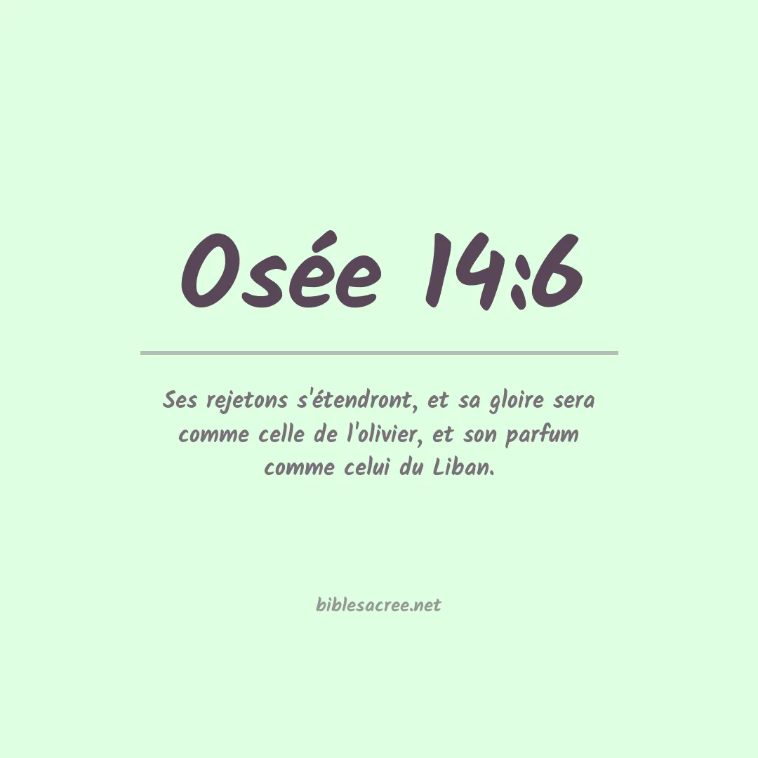 Osée - 14:6
