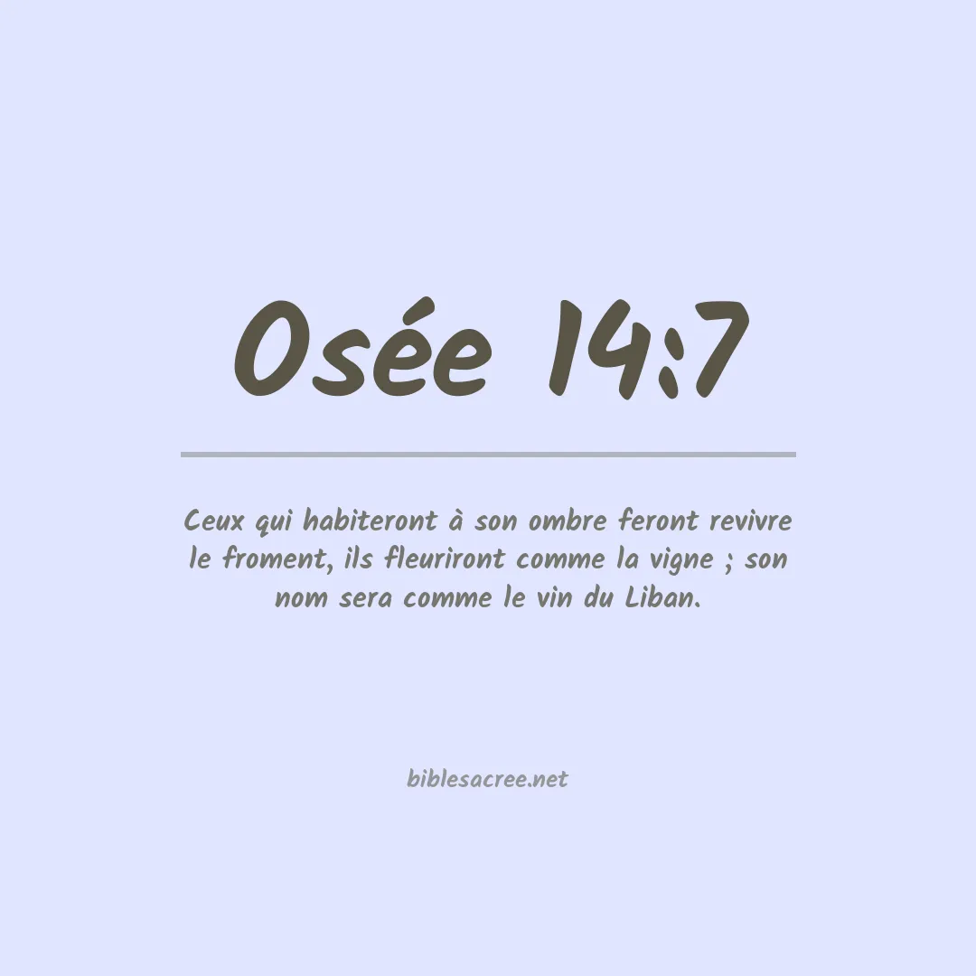 Osée - 14:7