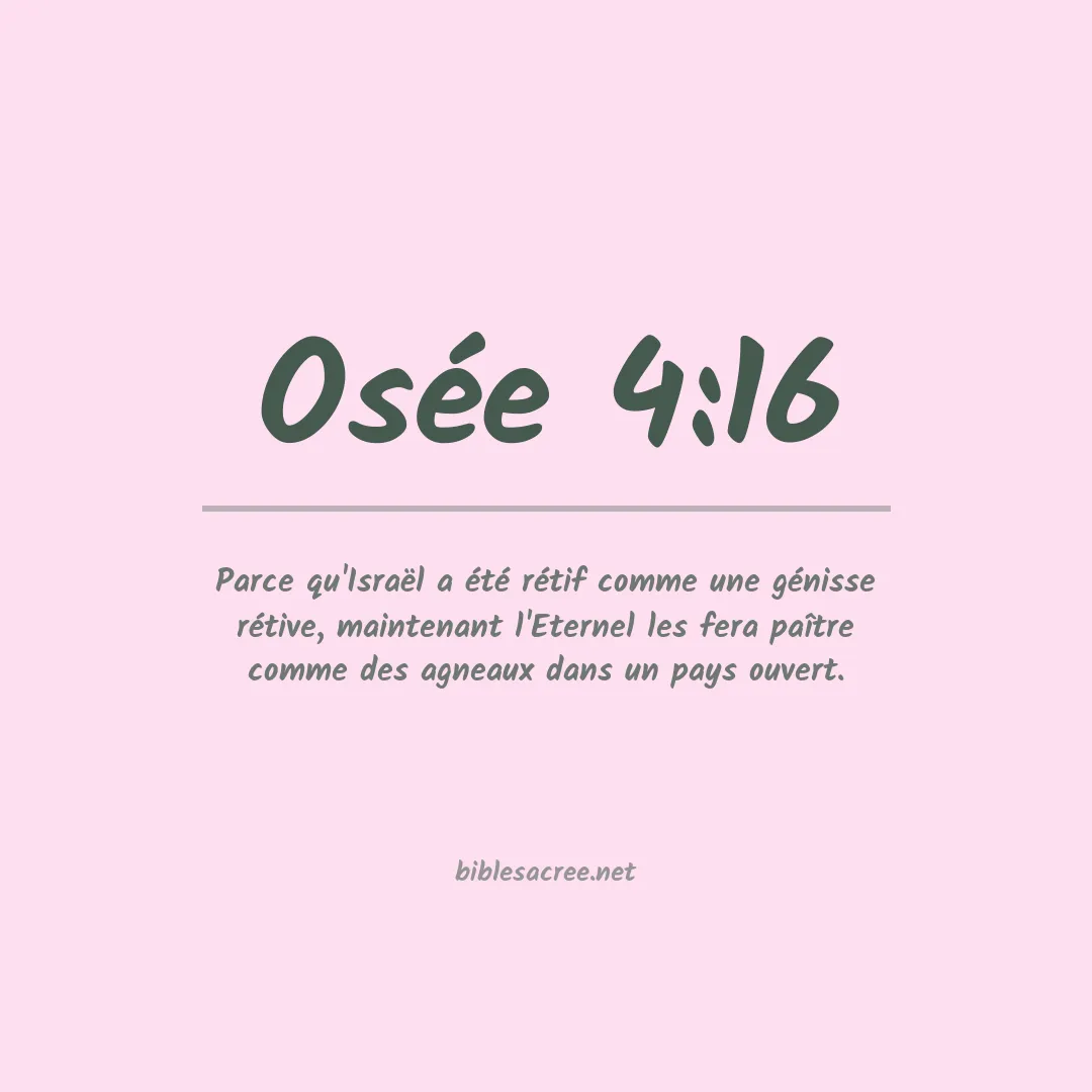 Osée - 4:16