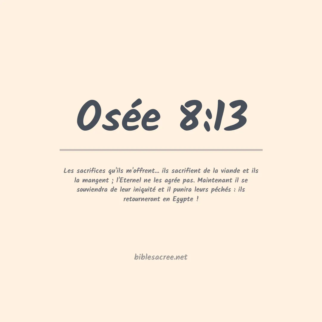 Osée - 8:13