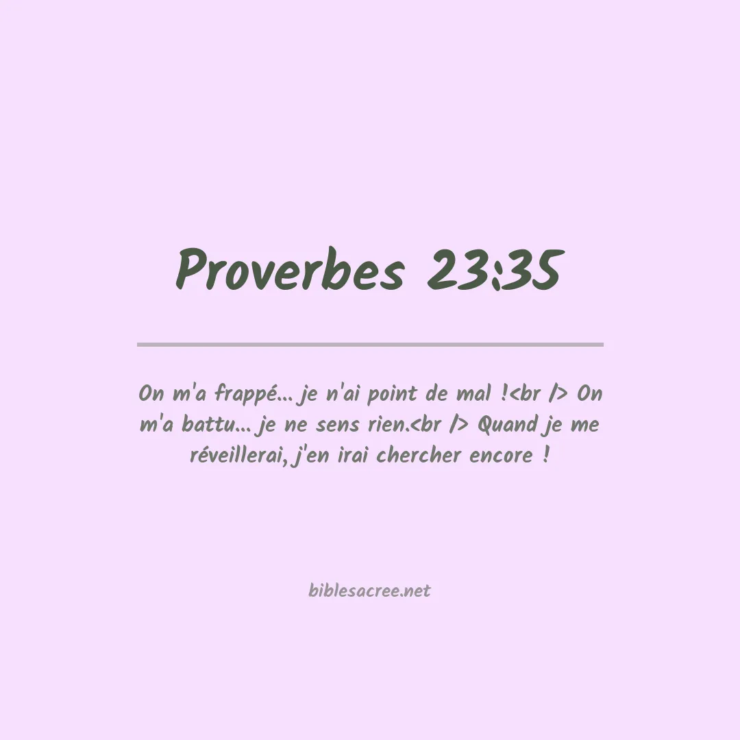 Proverbes - 23:35