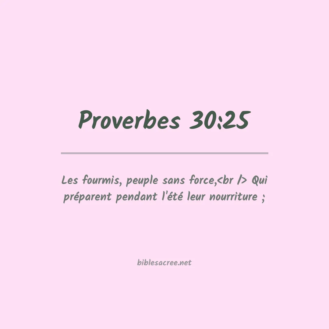 Proverbes - 30:25