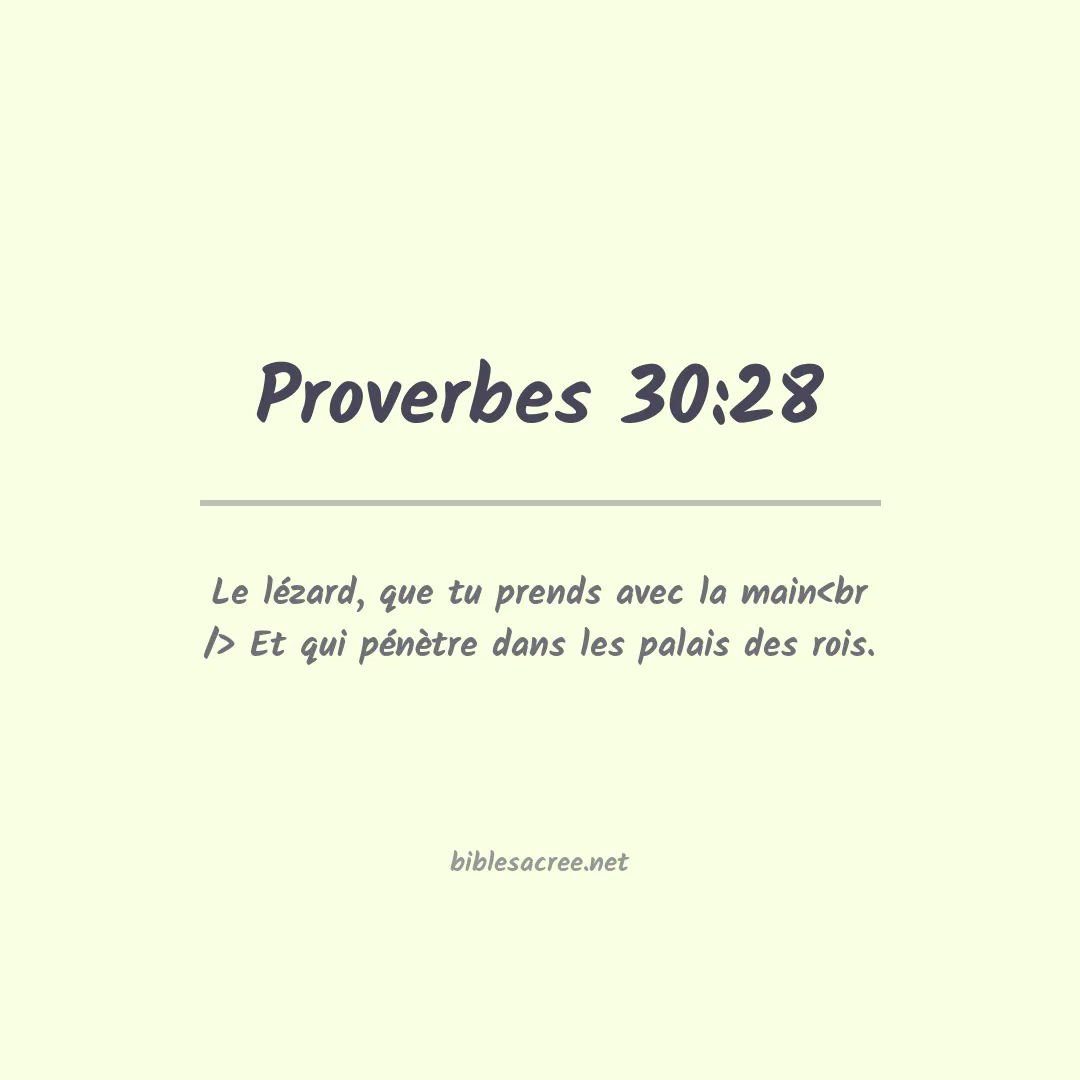 Proverbes - 30:28