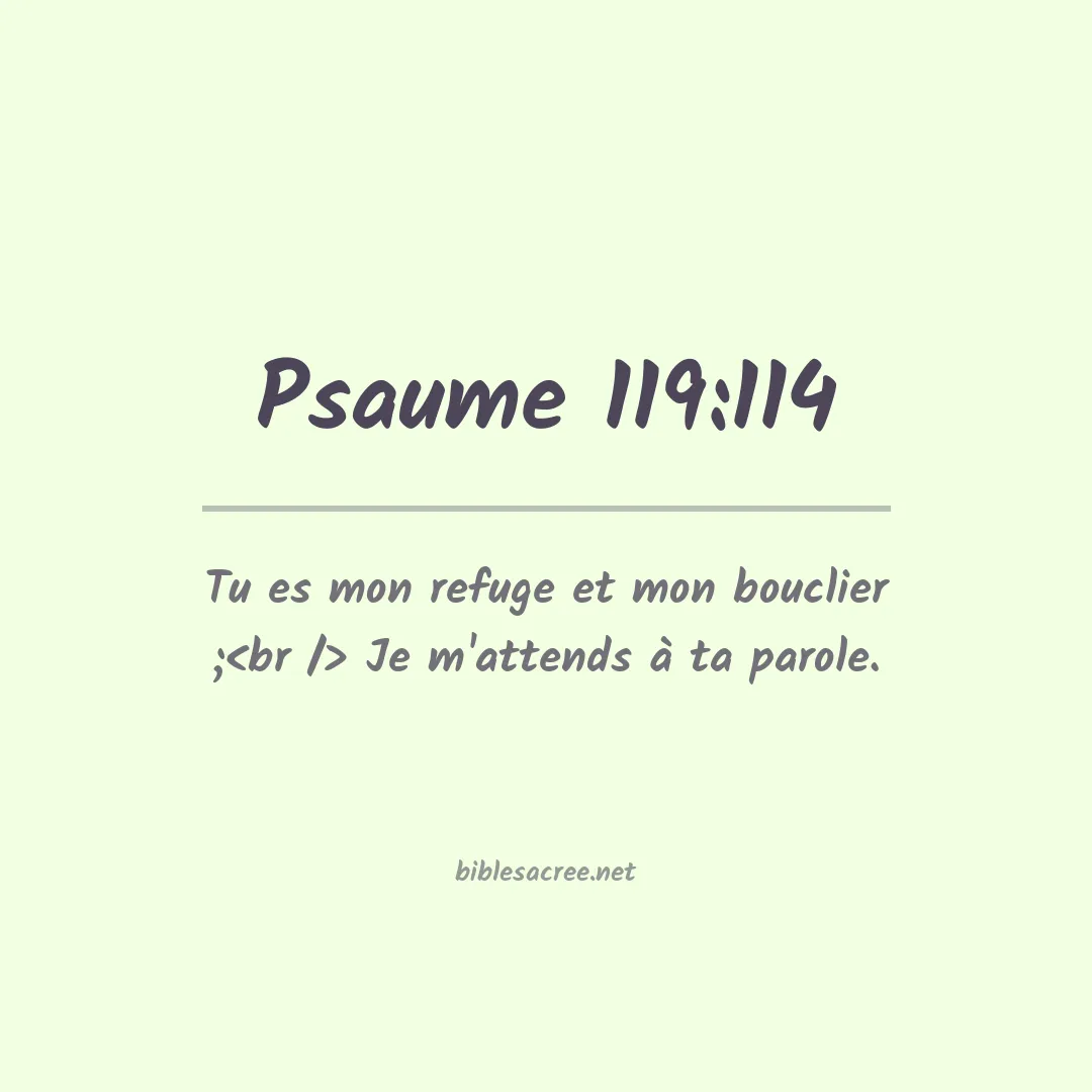 Psaume - 119:114