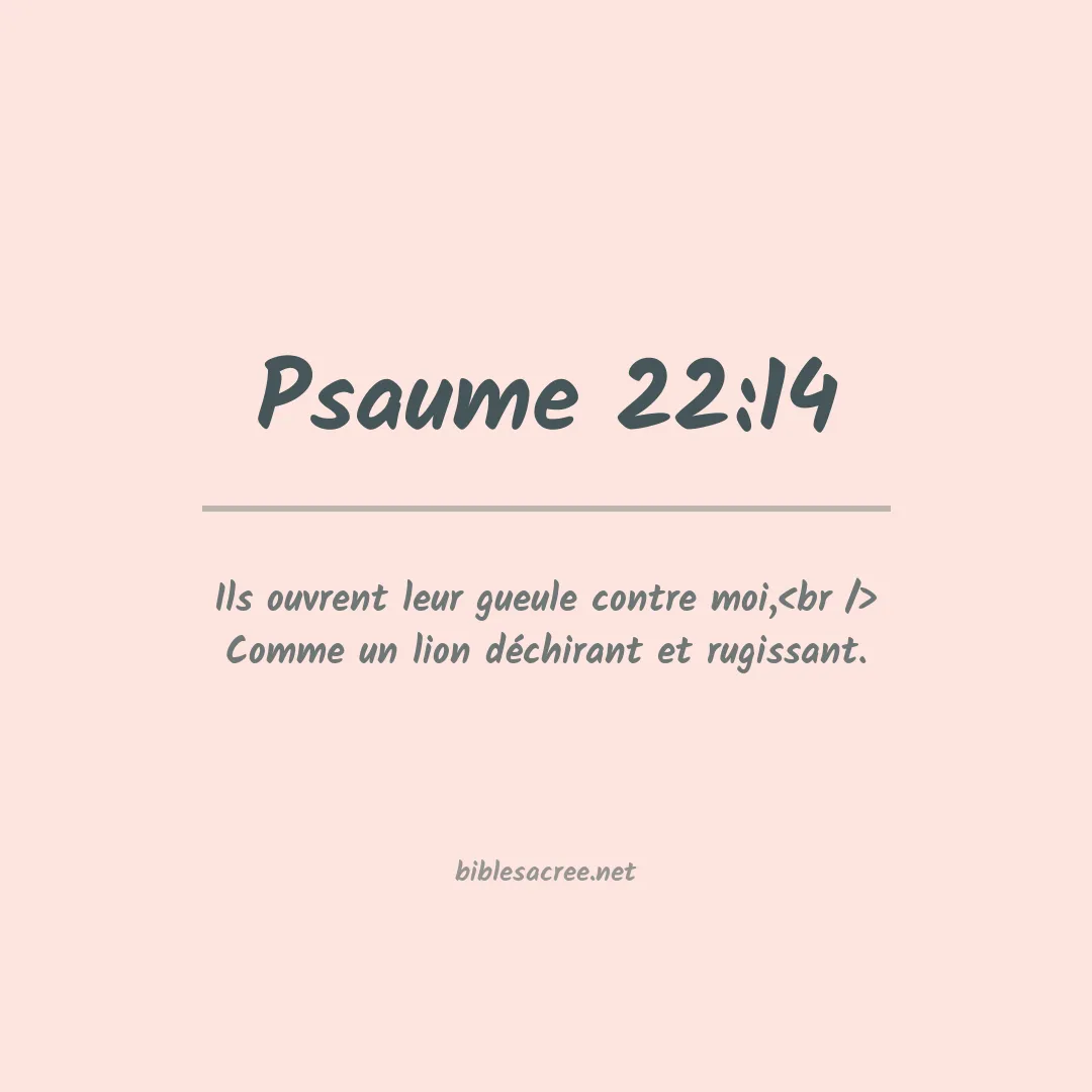 Psaume - 22:14