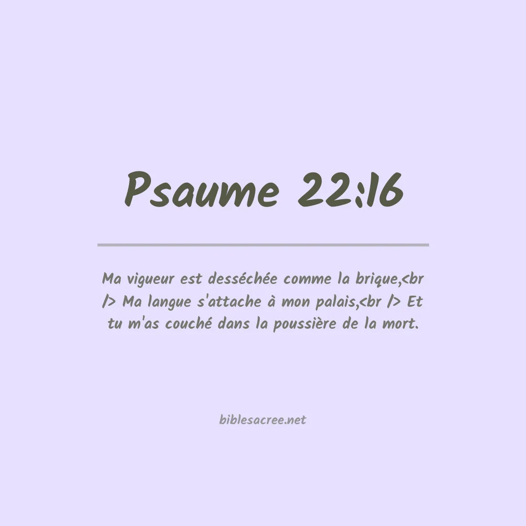 Psaume - 22:16