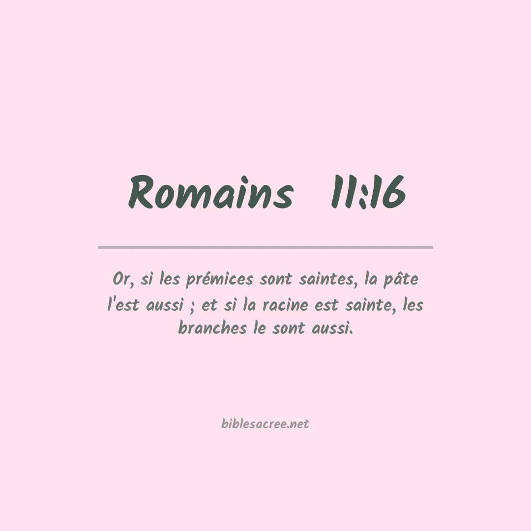 Romains  - 11:16